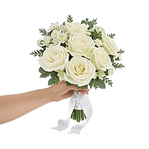 Ivory Garden Grace