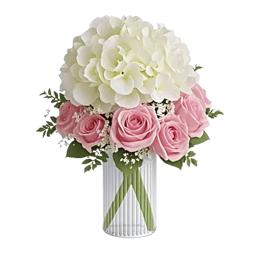 Ivory Blossom Radiance