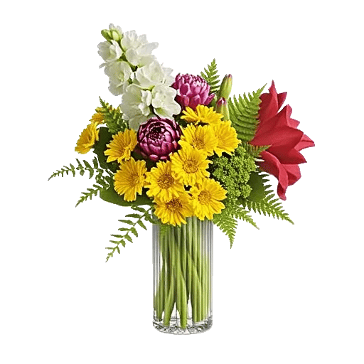 Ivory Blossom Radiance