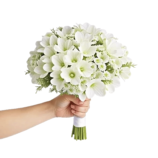Delicate Petal Cascade