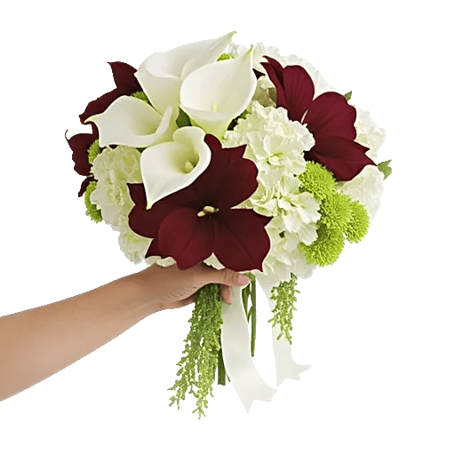 Elegant Calla Lilies
