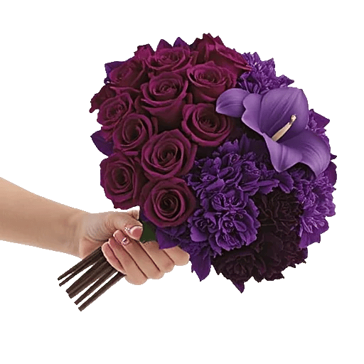 Crimson Rose Elegance