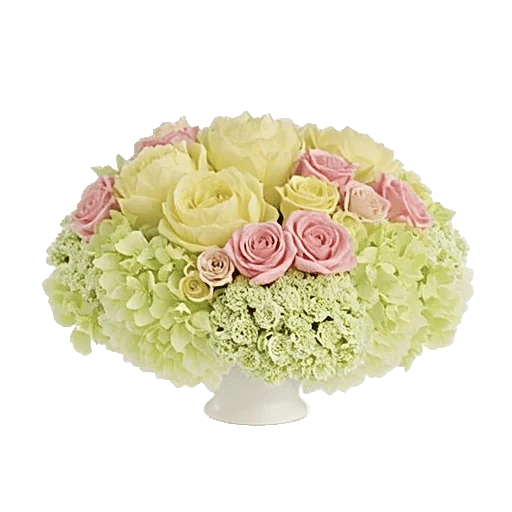 Petal Radiance Bliss