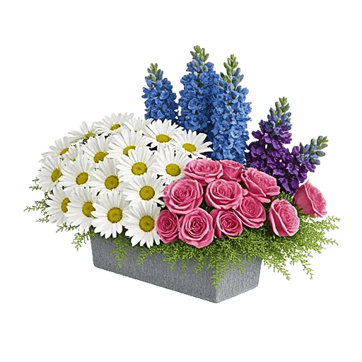 Delicate Petal Cascade