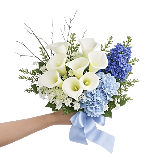 Elegant Calla Lilies