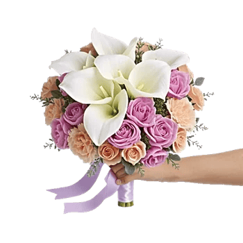 Elegant Calla Lilies