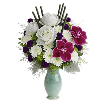 Ivory Blossom Radiance
