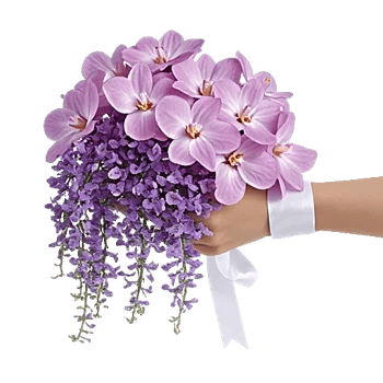 Orchid Bloom Cascade