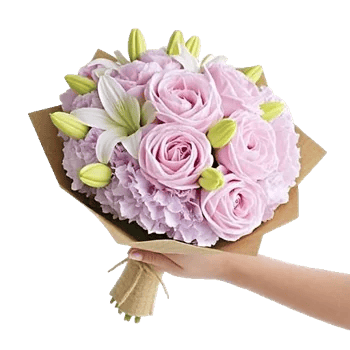 Peony Petal Harmony