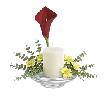 Elegant Calla Lilies
