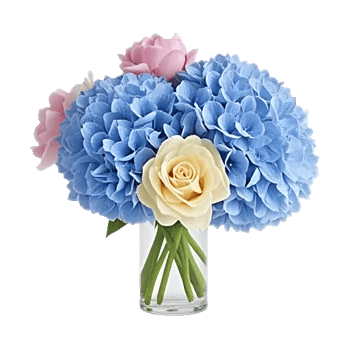 Ivory Blossom Radiance