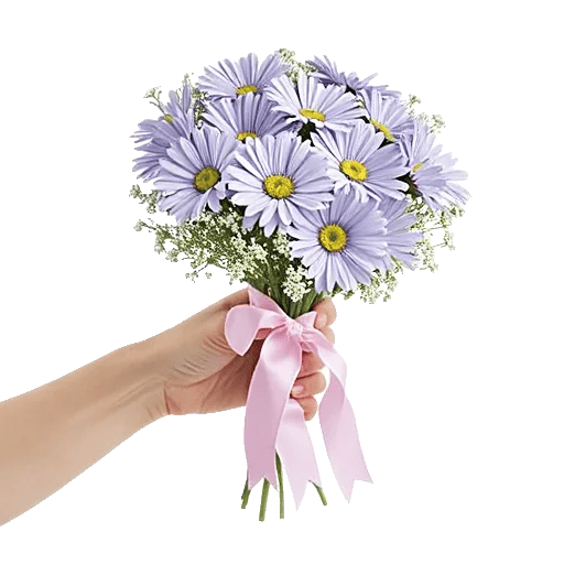 Pastel Blossom Grace