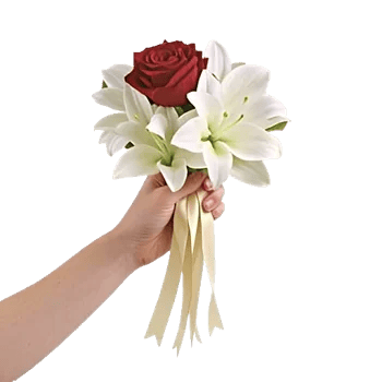 Delicate Petal Cascade