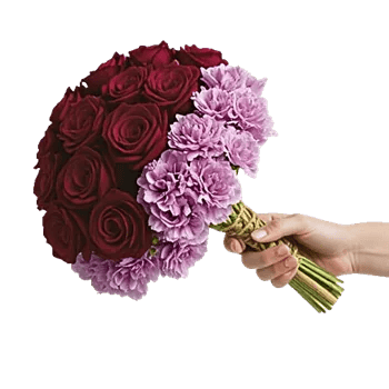 Blushing Rose Symphony