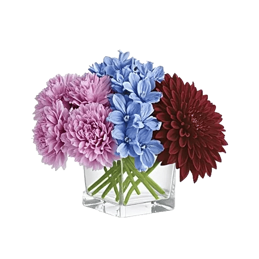 Serenity Blossom Grace