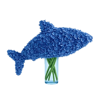 Sapphire Bloom Whisper