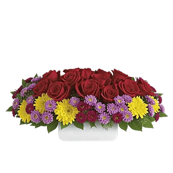Crimson Rose Elegance