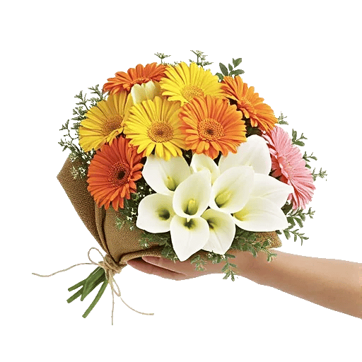 Petal Harmony Bliss