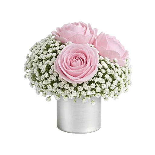 Blossom Radiant Whisper