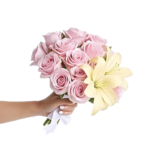 Blushing Rose Symphony