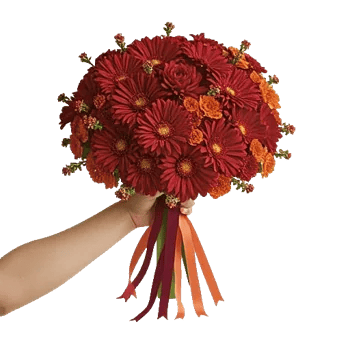 Ruby Petal Cascade