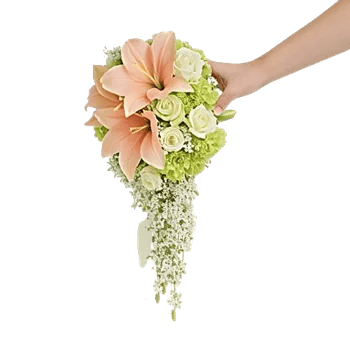 Delicate Petal Cascade