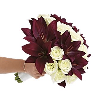 Blushing Rose Symphony