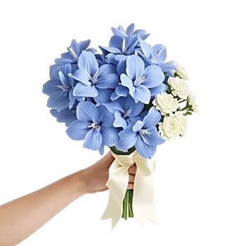 Blossom Petal Serenity