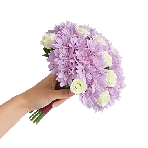 Blushing Rose Symphony