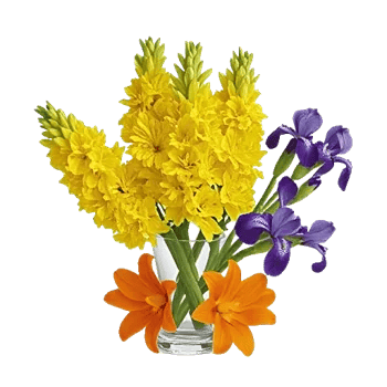 Graceful Lily Display