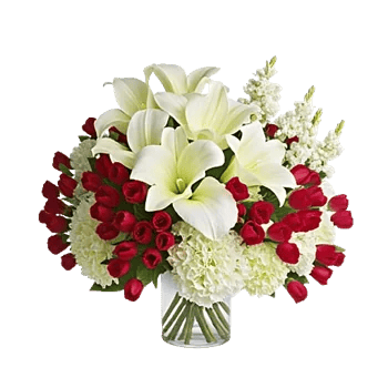 Elegant Calla Lilies