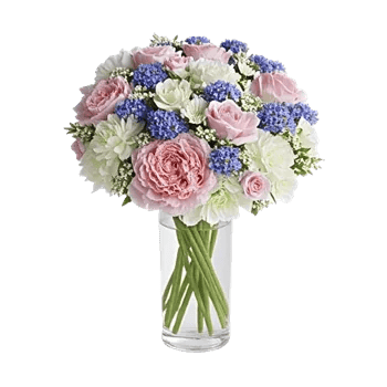 Ivory Blossom Radiance