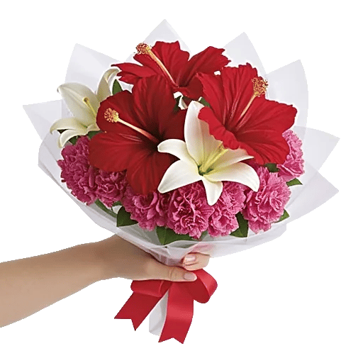 Blushing Rose Symphony