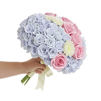 Serene Petal Harmony