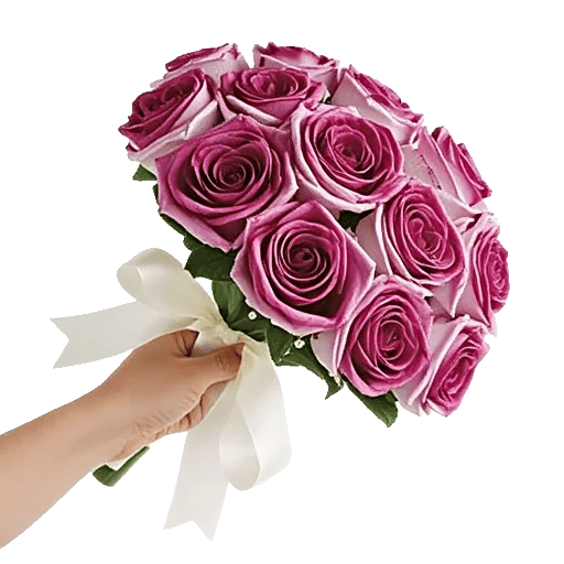 Blushing Rose Symphony