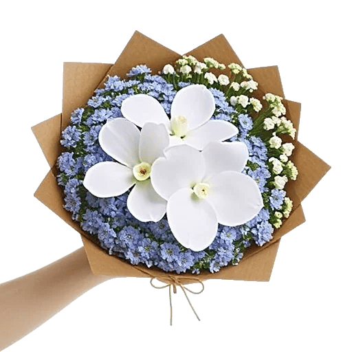 Minimalist White Orchids