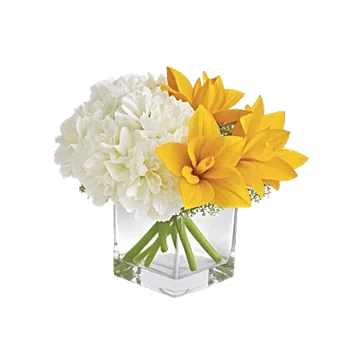 Delicate Petal Cascade