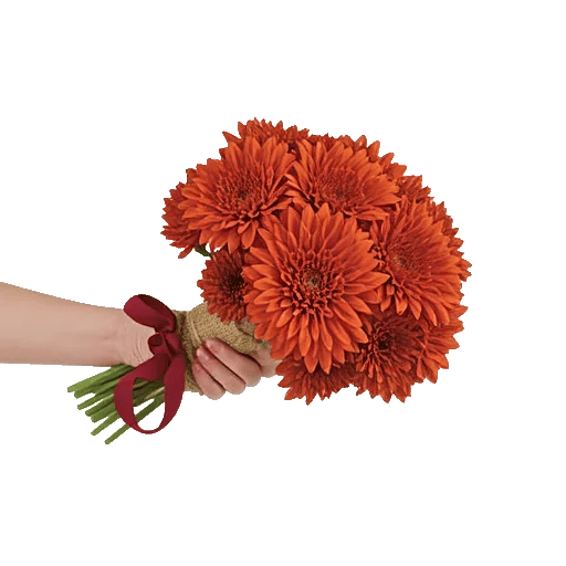 Radiant Bloom Cascade