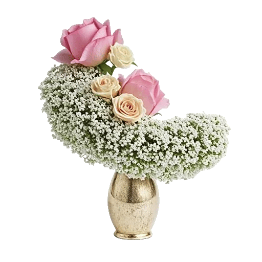 Blossom Radiant Whisper