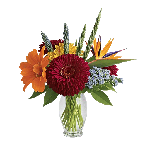 Petal Radiance Bliss