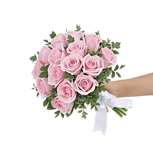 Blushing Rose Symphony