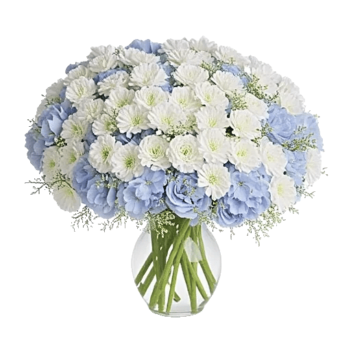 Ivory Blossom Radiance