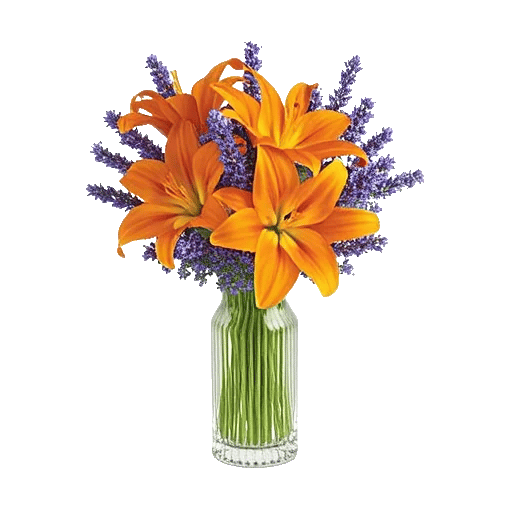 Graceful Lily Display