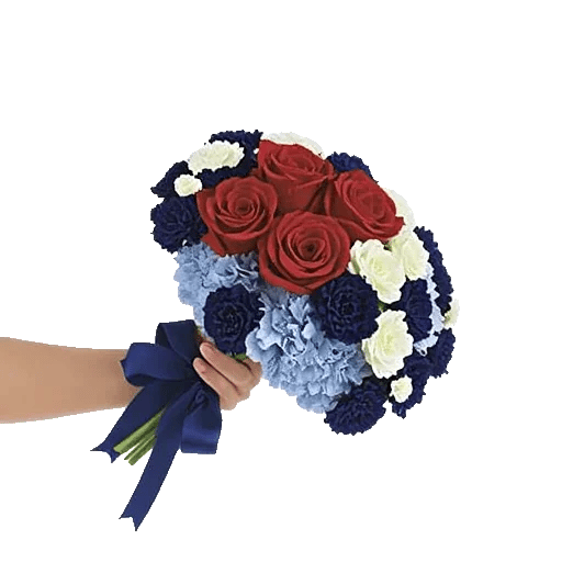 Crimson Rose Elegance