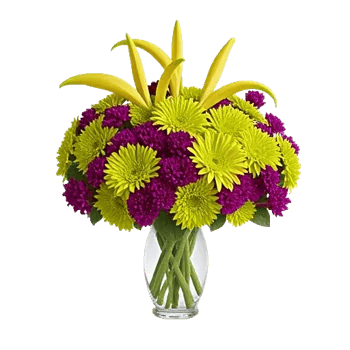 Petal Radiance Bliss