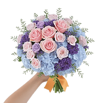 Blushing Rose Symphony