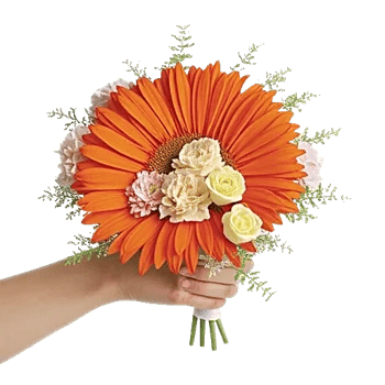 Petal Harmony Bliss