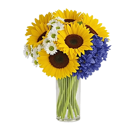 Radiant Bloom Cascade