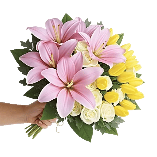 Blossom Harmony Display