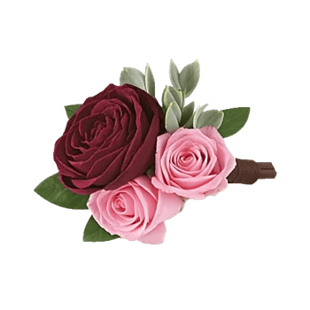 Delicate Petal Cascade